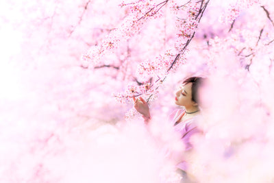 poster-print-sakura
