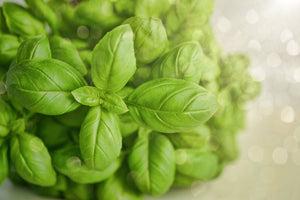 canvas-print-a-bouquet-of-basil