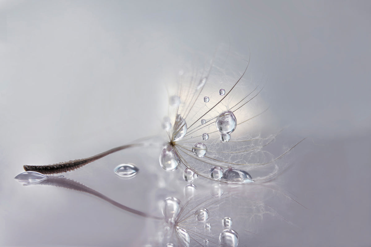 poster-print-silver-x