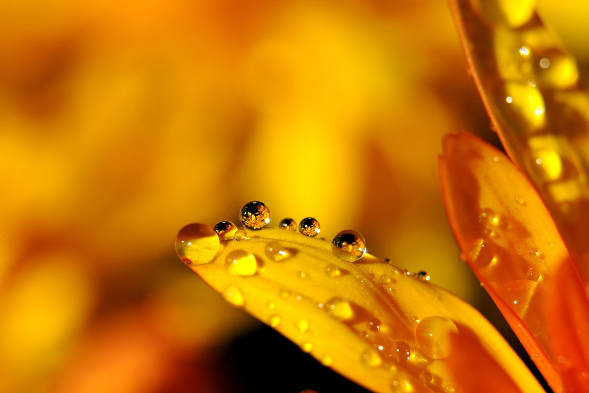 3-piece-acrylic-print-drops-close-up