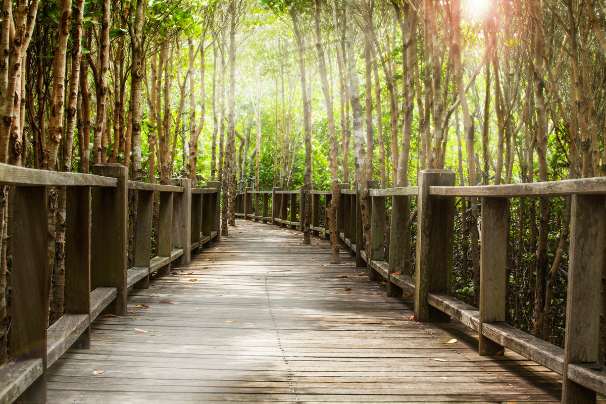 modern-3-piece-canvas-print-wooden-bridge