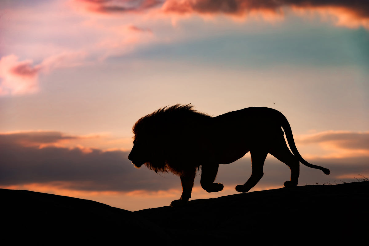 acrylic-print-sunset-in-the-serengeti-x