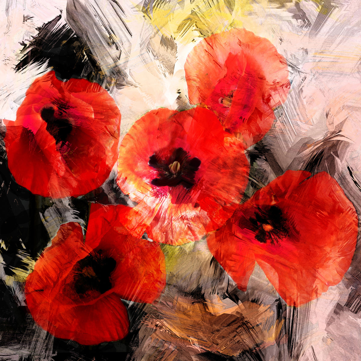 4-piece-acrylic-print-poppy-portrayal