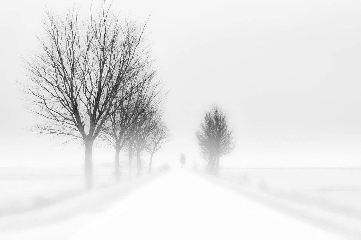 framedcanvas-print-my-tiny-world-x