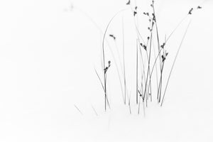 canvas-print-black-on-white