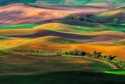 poster-print-the-palouse