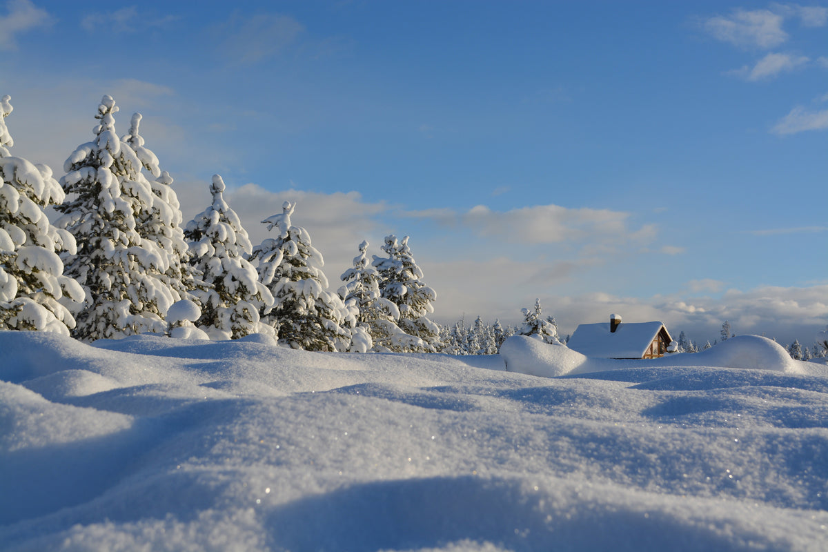 modern-3-piece-acrylic-print-beautiful-snow-landscape