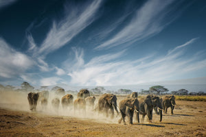 3-piece-aluminium-print-a-very-long-thinking