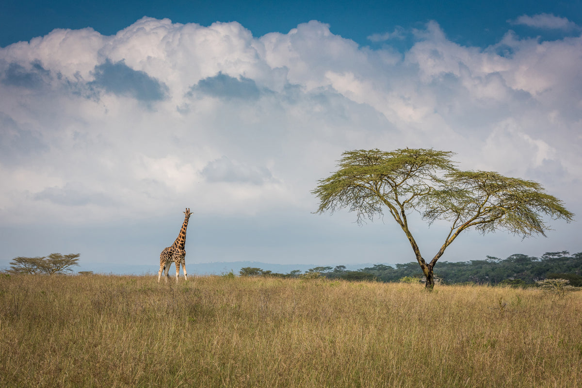 aluminium-print-east-africa