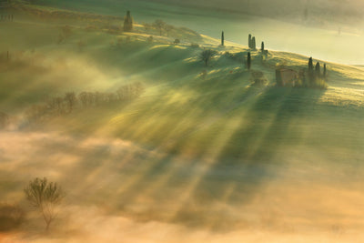 poster-print-mist-x