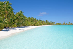 aluminium-print-beach-walk