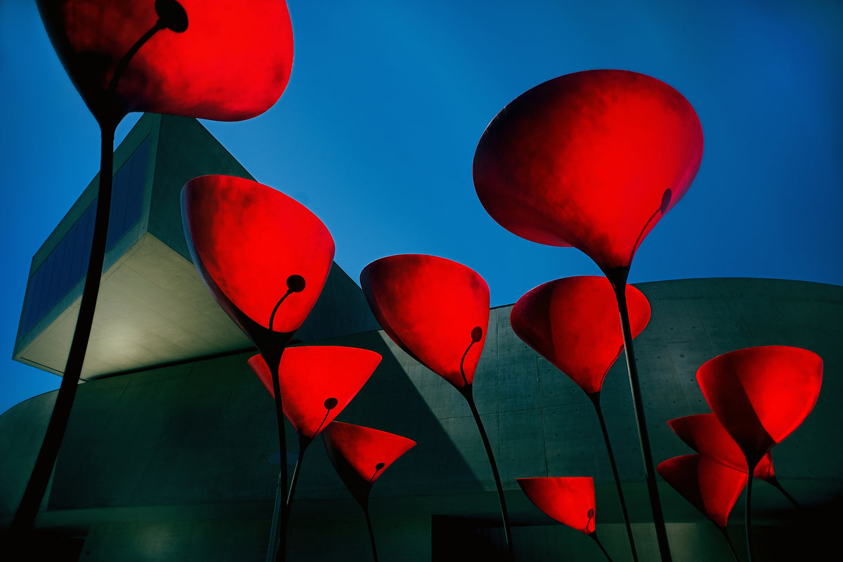canvas-print-maxxi-museum-x