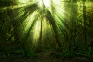 3-piece-acrylic-print-the-miracle