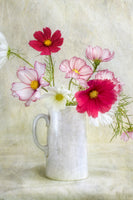 framedcanvas-print-cosmos-carnival