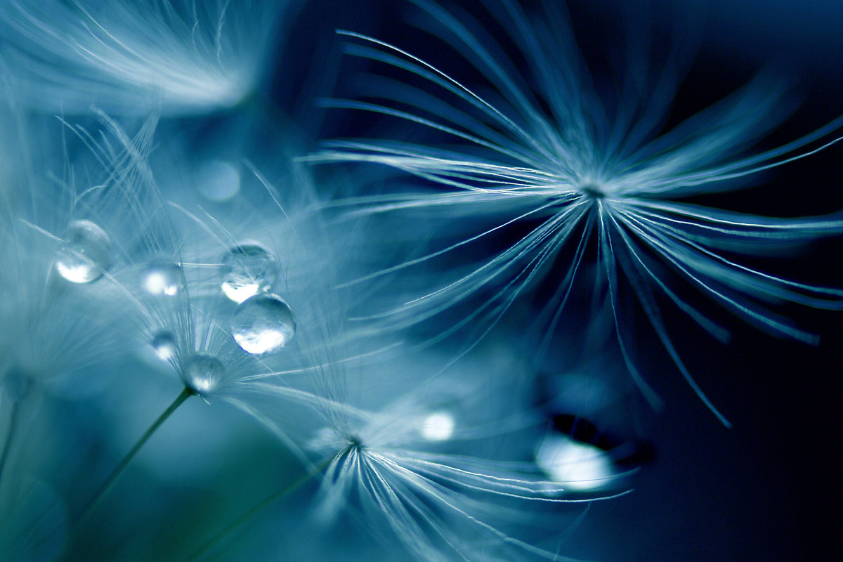 canvas-print-soft-touch-x