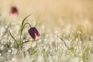 modern-3-piece-canvas-print-morningdew
