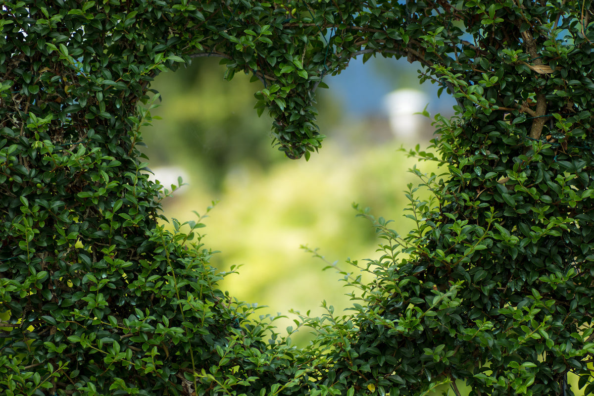 3-piece-acrylic-print-the-heart-in-the-hedge
