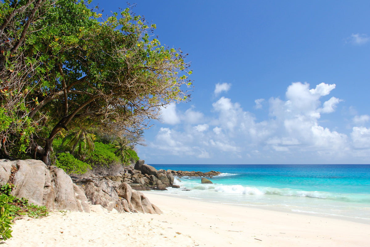 framedposter-print-dream-beach-seychelles