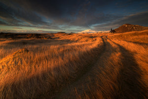 poster-print-the-long-winding-road-x