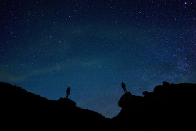 poster-print-the-stargazers
