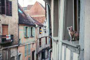 framedposter-print-territory