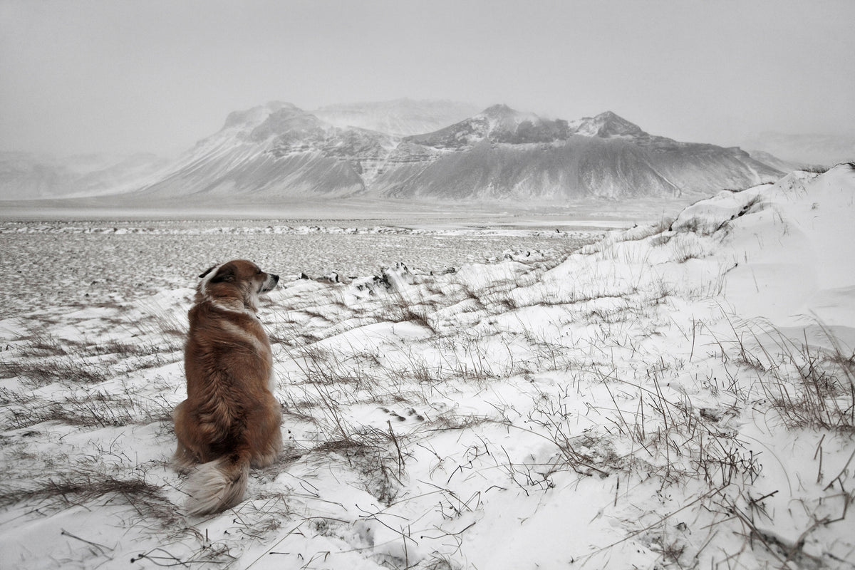 framedposter-print-snowstorm-x