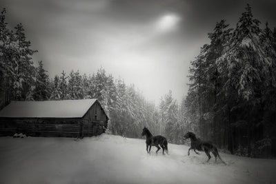 poster-print-untitled-xpe