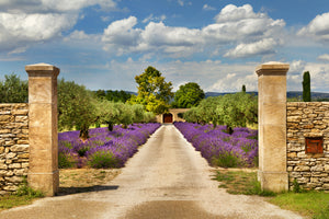 3-piece-acrylic-print-lavender-garden