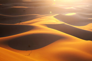 framedposter-print-wilderness-journey