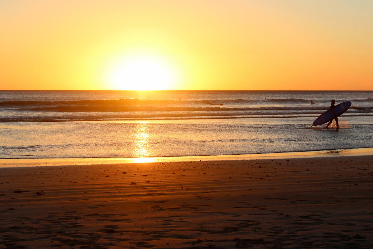 framedposter-print-the-lonely-surfer