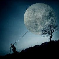 poster-print-the-dreamer-x