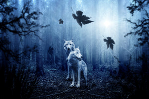 framedcanvas-print-wolf39s-couple