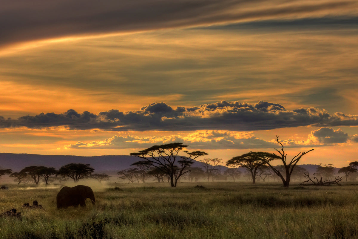 canvas-print-africa-x