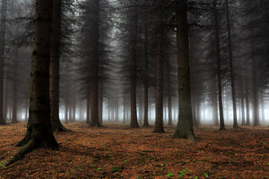 aluminium-print-place-of-silence-x