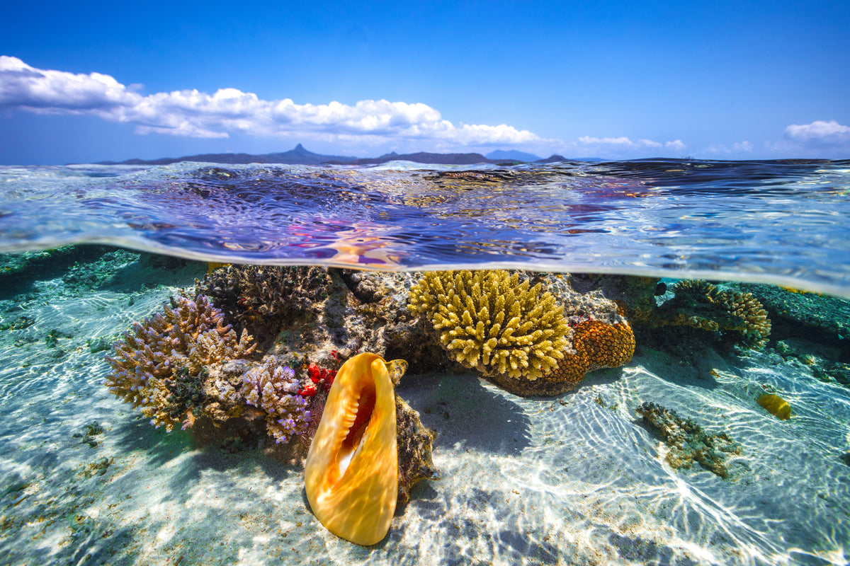 canvas-print-lagoon-life