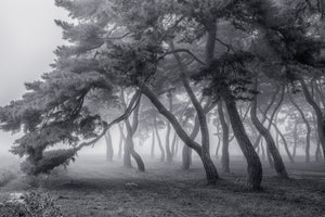 canvas-print-always-x