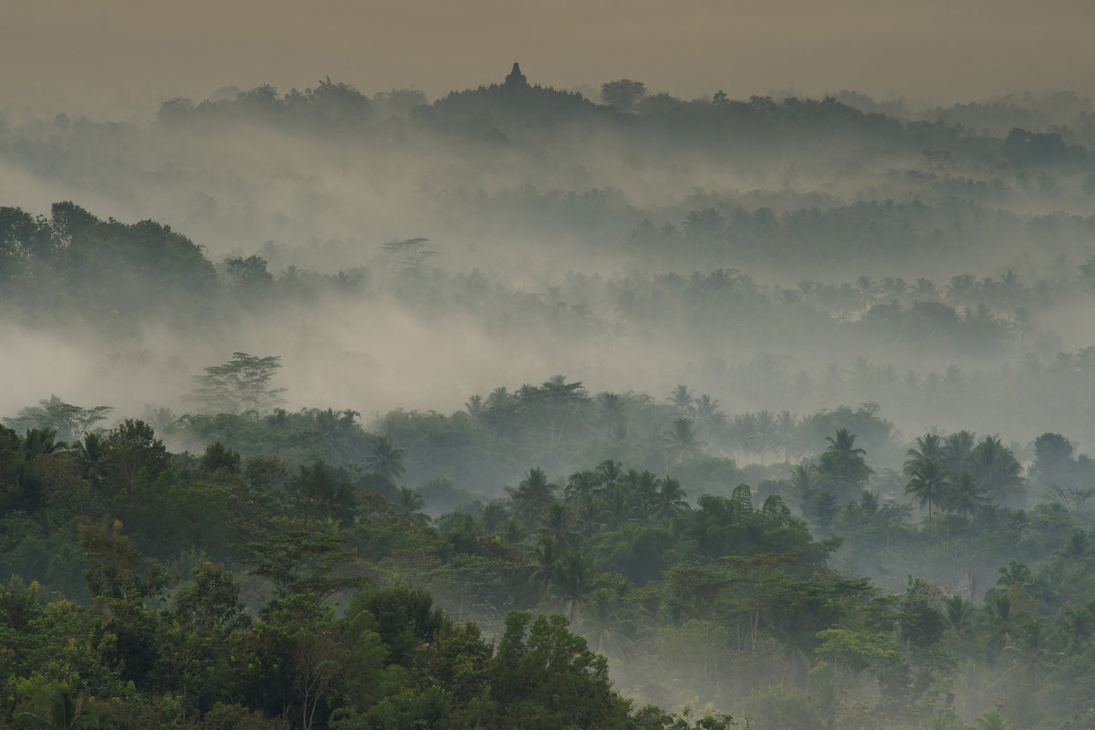 poster-print-temple-in-the-mist