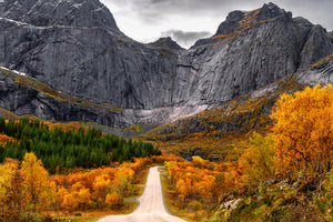 framedcanvas-print-road-to-the-wall-x