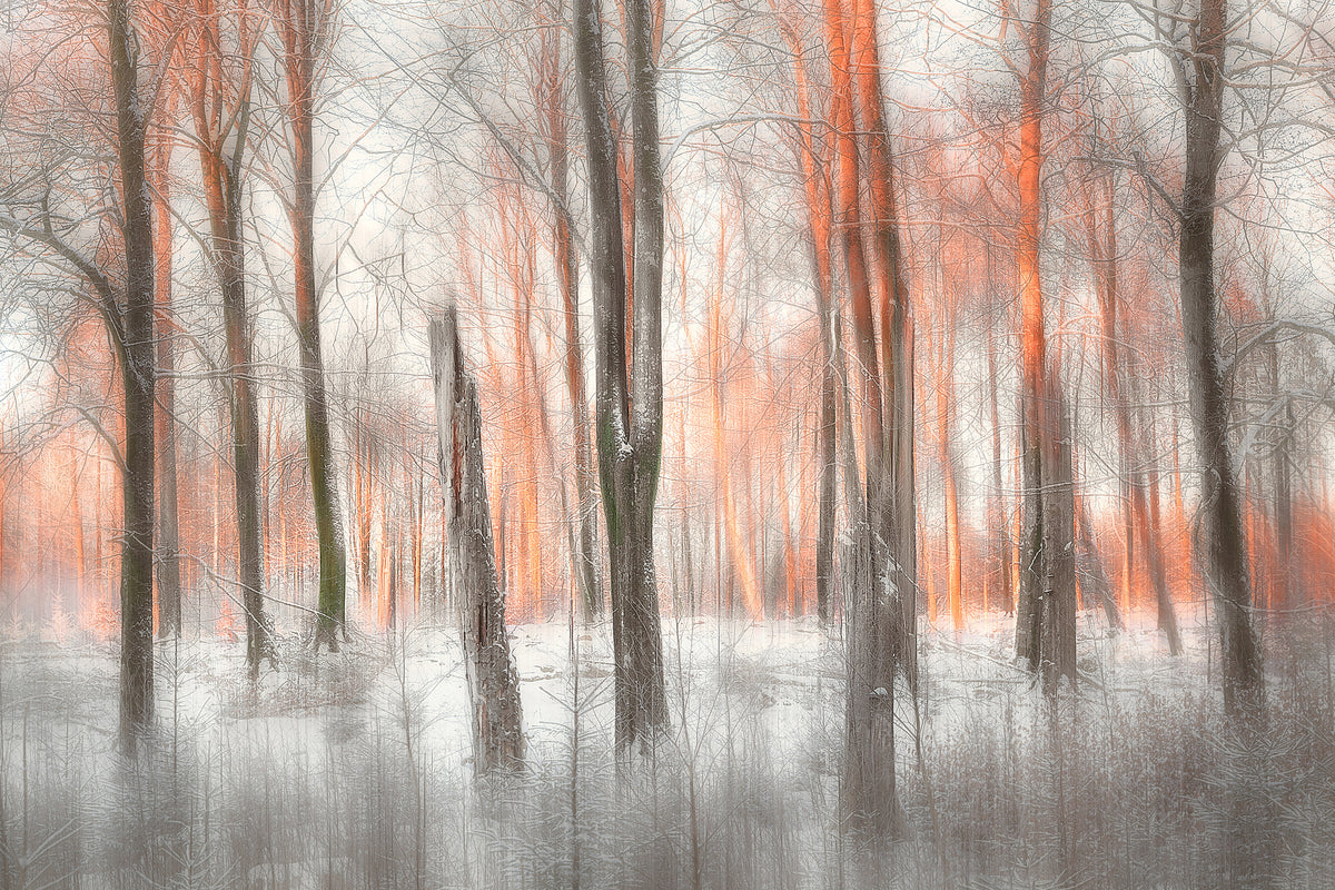 aluminium-print-evening-light