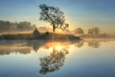poster-print-morning-reflection-x