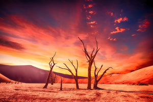 modern-3-piece-acrylic-print-colorful-desert