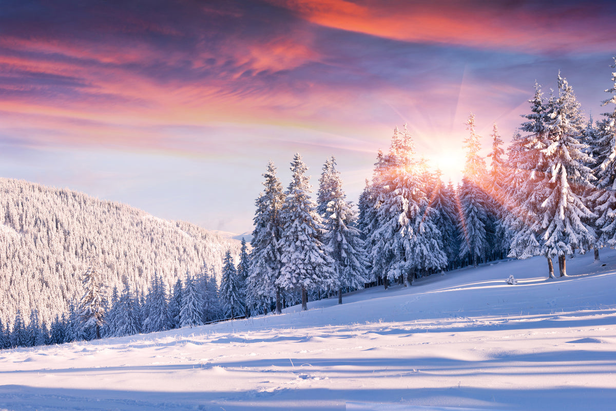 aluminium-print-winter-landscape