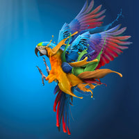 poster-print-flying-colours