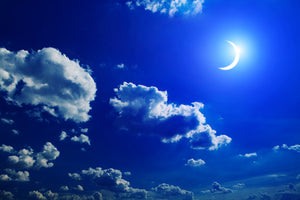 poster-print-the-moon