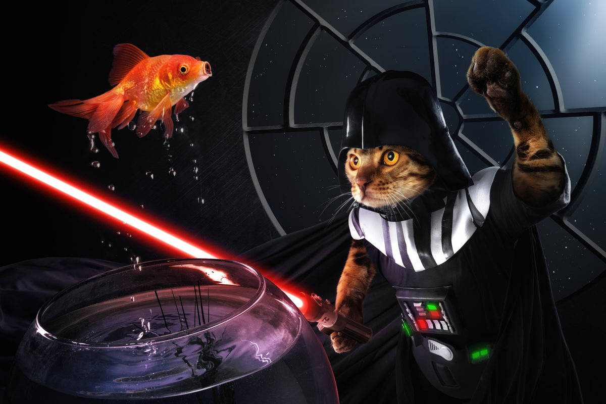 aluminium-print-darth-sushi