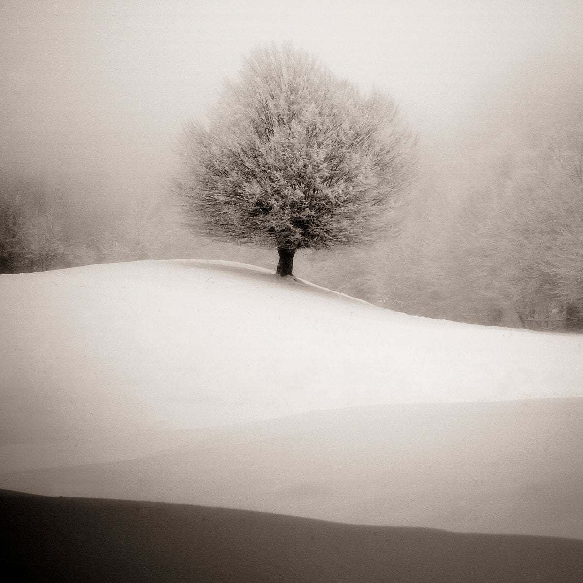 9-piece-acrylic-print-winter-degradee