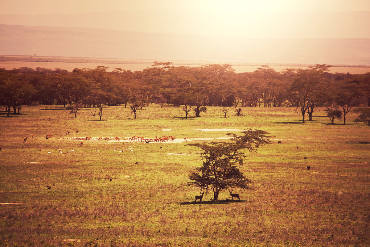 poster-print-picturesque-africa