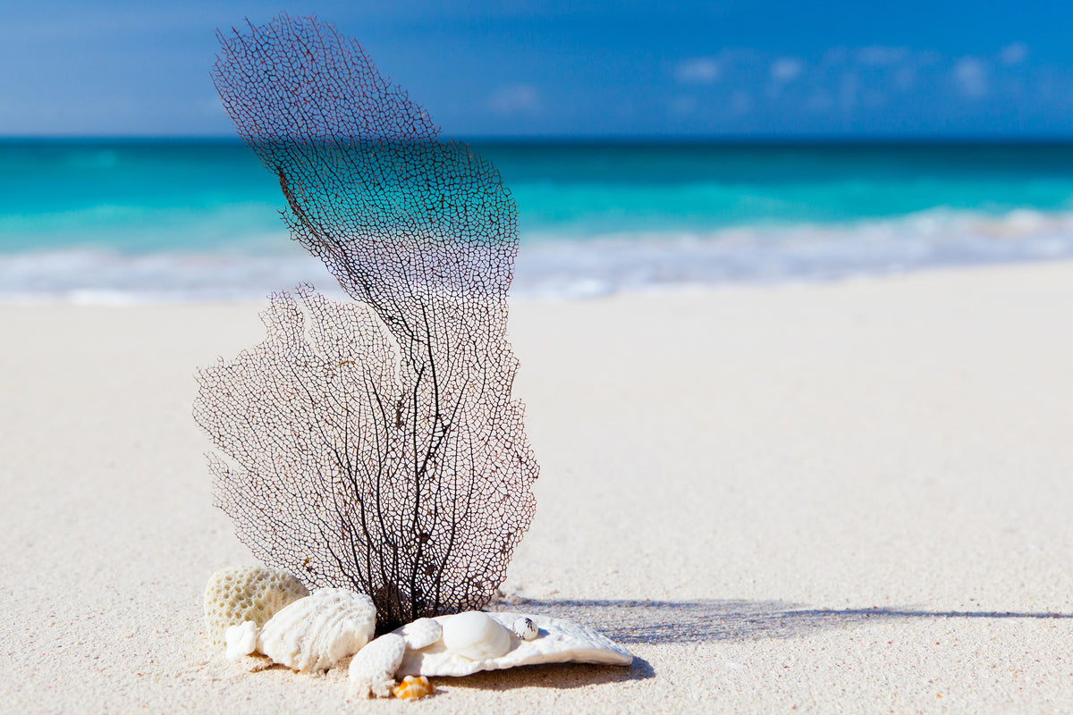 3-piece-canvas-print-beach-art