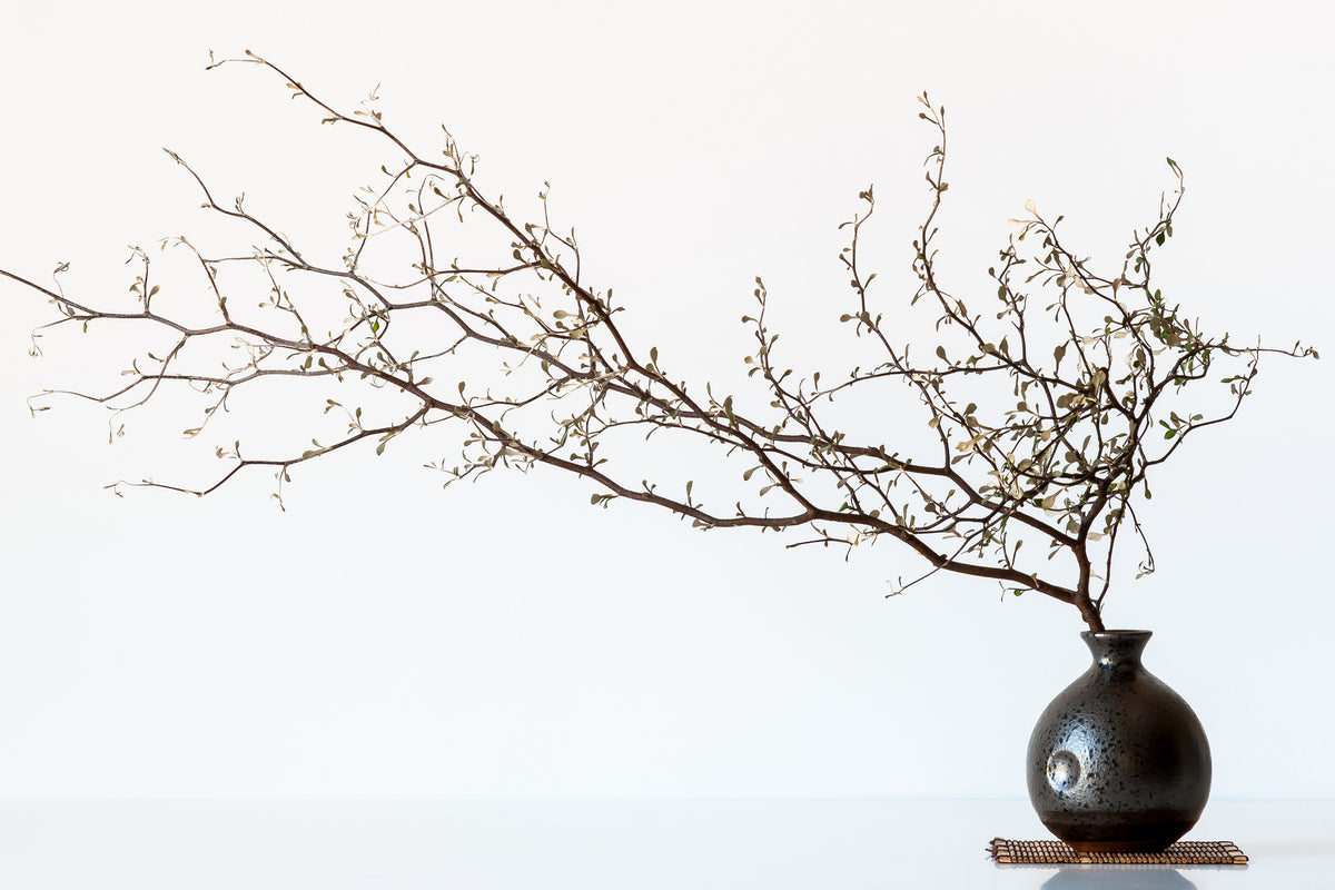 aluminium-print-vase-and-branch-x