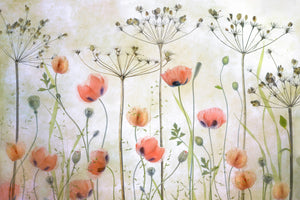 framedposter-print-poppy-meadow-x